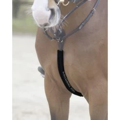 Schockemöhle Body Guard Vorderzeug Espresso -Geschaft Fur Pferdebedarf 1160 00001 schoner bodyguard black.f9bc40 1