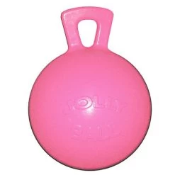 Jolly Ball Spielball Hellblau 25cm -Geschaft Fur Pferdebedarf 4000716.48fde6 2