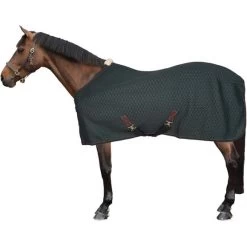 Kentucky Horsewear Kentucky Abschwitzdecke 4D Spacer Pine Green -Geschaft Fur Pferdebedarf 45101602.8bfe8c