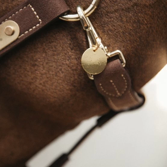 Kentucky Horsewear Kentucky Namensschild Silber 22mm 4 Kentucky Horsewear Kentucky Namensschild Silber 22mm – Bild 2