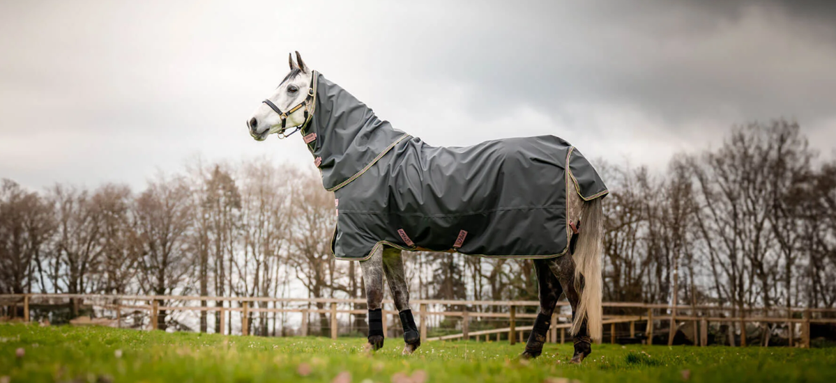 Geschaft Fur Pferdebedarf 2 Geschaft Fur Pferdebedarf -Geschaft Fur Pferdebedarf RBCPYC98D@KU6M0HO6FWOJ