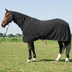 Harry's Horse Fleecedecke Deluxe Mit Halssteil Schwarz -Geschaft Fur Pferdebedarf a1153960.6c2d95