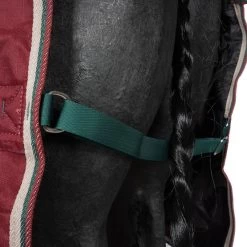 Tempest Original Winterdecke Turnout 200g Combo Maroon -Geschaft Fur Pferdebedarf agradi 44988259 6.85da29