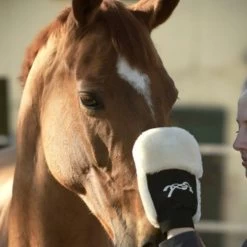 PÉNÉLOPE Pénélope Putzhandschuh Schwarz -Geschaft Fur Pferdebedarf agradi 44990821 3.7f9e7c