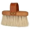 PÉNÉLOPE Pénélope Bürste Soft Small Glanz -Geschaft Fur Pferdebedarf agradi 44990825 1.5e973b