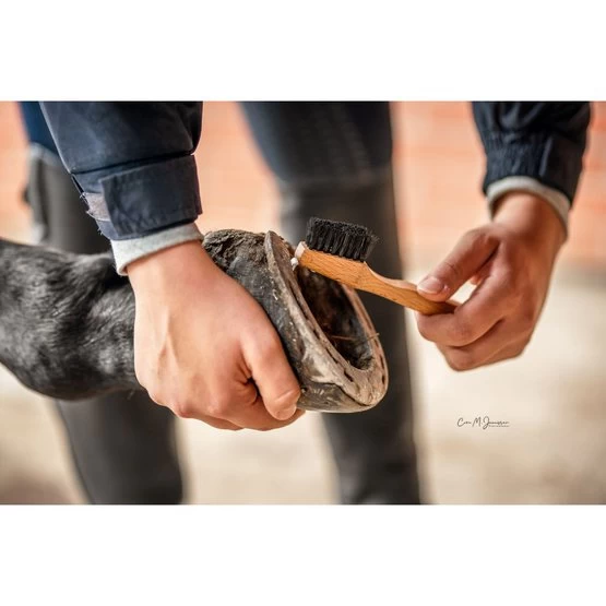 Bense & Eicke Hufkratzer KratzeKarl 4 Bense & Eicke Hufkratzer KratzeKarl – Bild 2