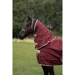 Bucas Atlantic Medium Exclusive Wine -Geschaft Fur Pferdebedarf bucas atlantic exclusive 1812 kiekjedoorsarah.e33349