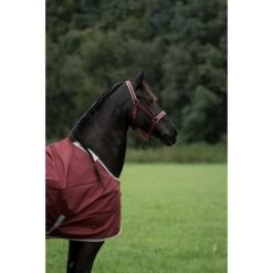 Bucas Atlantic Medium Exclusive Wine -Geschaft Fur Pferdebedarf bucas atlantic exclusive 1815 kiekjedoorsarah.1b891f