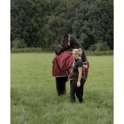 Bucas Atlantic Medium Exclusive Wine -Geschaft Fur Pferdebedarf bucas atlantic exclusive 1816 kiekjedoorsarah.c43a6f