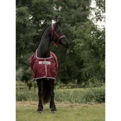 Bucas Atlantic Medium Exclusive Wine -Geschaft Fur Pferdebedarf bucas atlantic exlcusive 1813 kiekjedoorsarah.e0336b