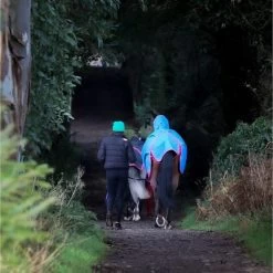 Bucas Freedom Turnout Full Neck 150g Navy -Geschaft Fur Pferdebedarf bucas freedom turnout full neck denim p6393.c8af05