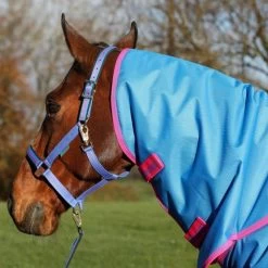 Bucas Freedom Turnout Full Neck 150g Navy -Geschaft Fur Pferdebedarf bucas freedom turnout full neck dublin halter lead rope denim 673 412 212 p5279.4da53c