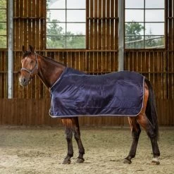 Dyon Fliegendecke Navy