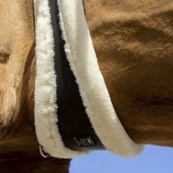 Norton Sattelgurt XTR Mit Kunstschaffell Schwarz -Geschaft Fur Pferdebedarf ekkia 203 225 535 ambi1.3e09dd