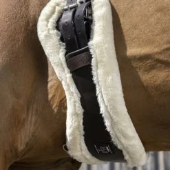 Norton Dressurgurt XTR Mit Kunstschaffell Havana/Crème -Geschaft Fur Pferdebedarf ekkia 203 227 570 ambi1.7be5d7