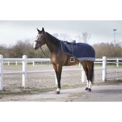 EQUITHÈME Ausreitdecke Tyrex Polar Fleece 600D Navy/Grau Dots 20 EQUITHÈME Ausreitdecke Tyrex Polar Fleece 600D Navy/Grau Dots -Geschaft Fur Pferdebedarf ekkia equitheme tyrex 600 d uitrijdeken navy.7e7e51