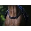Eric Thomas Vorderzeug Pro Elastisch Schwarz Warmblut -Geschaft Fur Pferdebedarf ekkia z04216 307 620 002 ambi1.a585d7