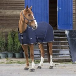 EQUITHÈME Sommerdecke Chic 0g Schwarz/Silber -Geschaft Fur Pferdebedarf ekkia z05225 400 071 763 ambi.3235c4