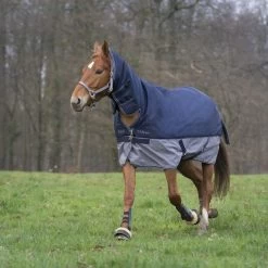 EQUITHÈME Tyrex Combo 600D 200g Navy/Grau Dots