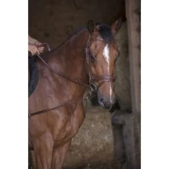 Norton Ausbindezügel Pro Kurz Elastisch Schwarz Warmblut -Geschaft Fur Pferdebedarf ekkia z06064 306 394 018 ambi.d40d66