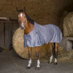 EQUITHÈME Decke Cool Dry Grau -Geschaft Fur Pferdebedarf ekkia z06781 400 738 163 ambi.b39f23