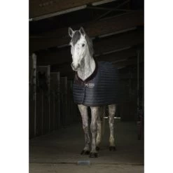 EQUITHÈME Stalldecke Teddy Gefüttert Mit Synthetischem Schaffell Navy -Geschaft Fur Pferdebedarf ekkia z07135 400 809 163 ambi2.a3cfbe