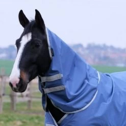 EQUITHÈME Halsstück 150g 600D Recycelt Grün -Geschaft Fur Pferdebedarf ekkia z07933 400 754 003 ambi2.f9dbb8