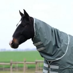 EQUITHÈME Halsstück 150g 600D Recycelt Grün -Geschaft Fur Pferdebedarf ekkia z07933 400 776 003 ambi1.037a11