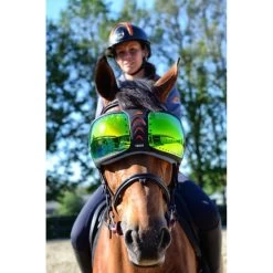 EQuick Brille EVysor Transparent One Size -Geschaft Fur Pferdebedarf equick equick bril evysor green.d8c0f8