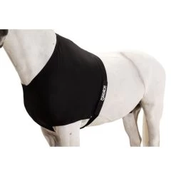 Geschaft Fur Pferdebedarf -Geschaft Fur Pferdebedarf eskadron esk 313000 240 290 add2.c3276f