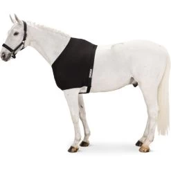 Geschaft Fur Pferdebedarf 38 Eskadron Brustschutz Schwarz