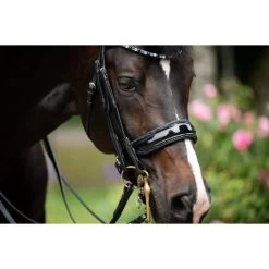 HB Kandarenzaum Special For You Schwarz/Burgund 23 HB Kandarenzaum Special For You Schwarz/Burgund -Geschaft Fur Pferdebedarf hb 395 blue.f3be4c