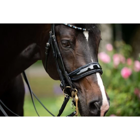 HB Kandarenzaum Special For You Schwarz/Burgund 12 HB Kandarenzaum Special For You Schwarz/Burgund – Bild 10