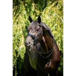 HB Kandarenzaum Special For You Schwarz/Burgund 19 HB Kandarenzaum Special For You Schwarz/Burgund -Geschaft Fur Pferdebedarf hb 395 grey 2.9ea22b