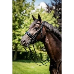 HB Kandarenzaum Special For You Schwarz/Burgund 18 HB Kandarenzaum Special For You Schwarz/Burgund -Geschaft Fur Pferdebedarf hb 395 grey 3.6203de