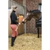 HKM Kuscheltier Pferd Ice Cream Orange -Geschaft Fur Pferdebedarf hkm 14441 420013447 910014224 302014235 9100 1.c162e7