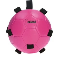Maximus Ball Fun Play Rot 23 Maximus Ball Fun Play Rot -Geschaft Fur Pferdebedarf hof 277115.6098f7