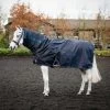 Rambo Mack In A Sack Navy/Burgund/Teal -Geschaft Fur Pferdebedarf horseware agam30 bqgb 8112x5408.60c3f4