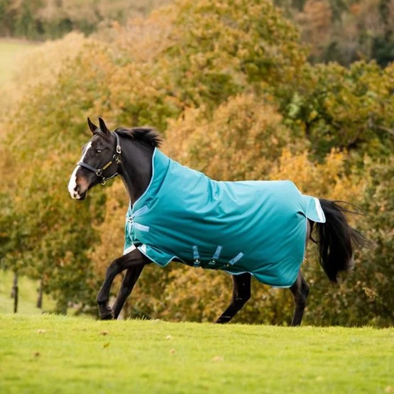 Amigo By Horseware Bravo 12 Wug Heavy Storm Green 2 Amigo By Horseware Bravo 12 Wug Heavy Storm Green