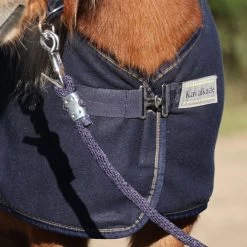 Geschaft Fur Pferdebedarf -Geschaft Fur Pferdebedarf kavalkade 48214 01.0f30ae