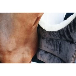 Kentucky Horsewear Kentucky Bib Winter Navy Warmblut 12 Kentucky Horsewear Kentucky Bib Winter Navy Warmblut -Geschaft Fur Pferdebedarf ken 52114 3.8fcd36