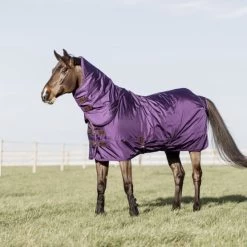 Kentucky Horsewear Kentucky Halsstück All Weather 150g Violett -Geschaft Fur Pferdebedarf kentucky 485a3029 e8502ded370e565d04389cf2c54c4715 article photobook crop.b5eb43