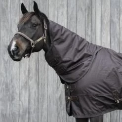 Kentucky Horsewear Kentucky Halsstück All Weather 150g Violett -Geschaft Fur Pferdebedarf kentucky 52201 05.5676ed