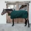 Kentucky Horsewear Kentucky Abschwitzdecke 4D Spacer Pine Green -Geschaft Fur Pferdebedarf kentucky 63c9509259476 4884a8cc479ba222191e18f5fb8646c4274bc9ef 485a3370.83ba83