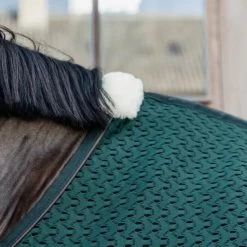 Kentucky Horsewear Kentucky Abschwitzdecke 4D Spacer Pine Green -Geschaft Fur Pferdebedarf kentucky 63c95092ce0f1 1a592f64ddbc9ed4d00ae0591dc4690d2ae92477 485a3385.96a5db