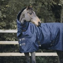 Kentucky Horsewear Kentucky Halsstück All Weather 150g Violett -Geschaft Fur Pferdebedarf kentucky halsstuk all weather 150gr navy 1.d22de4