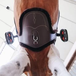 Kentucky Horsewear Kentucky Sattelgurtschoner Sheepskin Stud Schwarz -Geschaft Fur Pferdebedarf kentucky singelhoes sheepskin stud bruin.02b4d1