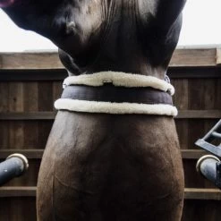 Kentucky Horsewear Kentucky Vielseitigkeitsgurt Sheepskin Braun/Natural -Geschaft Fur Pferdebedarf kentucky veelzijdigheidssingel sheepskin brown 1.d57919