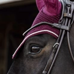 Kentucky Horsewear Kentucky Ohrnetz Wellington Velvet Lila -Geschaft Fur Pferdebedarf kentucky wellington oornet bordeaux 1.e221a5 1