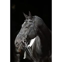 Kerbl Trensenzaum Standard Leder Braun -Geschaft Fur Pferdebedarf kerbl 3217021.b720d6